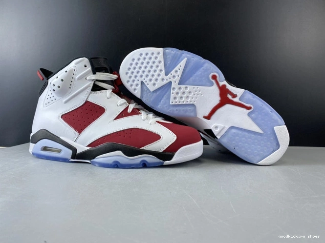Rep RETRO 6 AIR 384664-160 2014 'CARMINE' JORDAN 0729